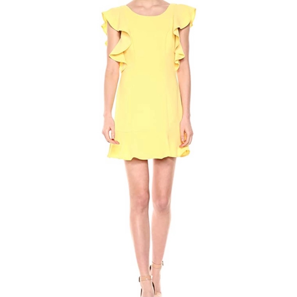 NWT BCBG Dress